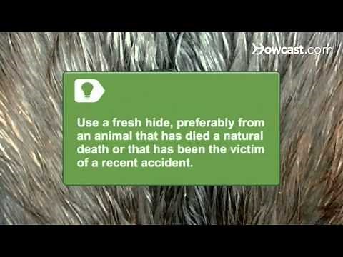 2 Effective Ways to Tan a Hide at Home