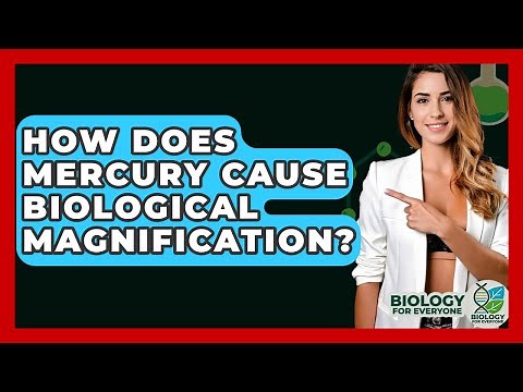 How Does Mercury Cause Biological Magnification? - Biology For Everyone