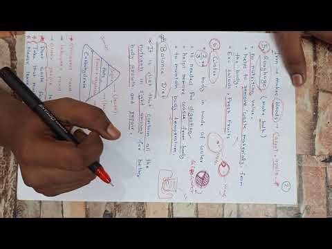 food we eat ( class 4 science ) part 2