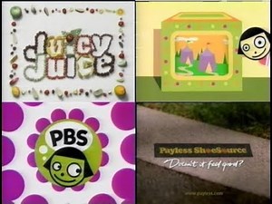 PBS Kids Program Break (2001 WNPT)