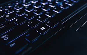 Pair created fake pest control company to scam N.J. biz out of $300K, officials say