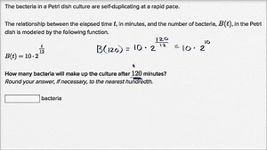 Exponential model word problem: bacteria growth