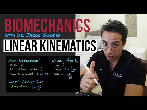 Intro to Linear Kinematics: Displacement, Velocity, & Acceleration