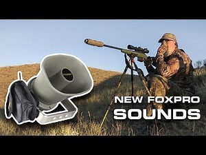 Success with the New FOXPRO Sounds