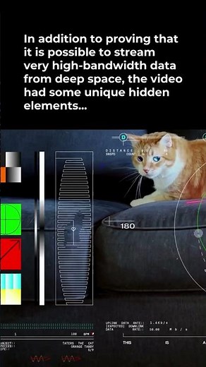 NASA Tech Demo Streams Cat Video From Deep Space Via Laser #Shorts