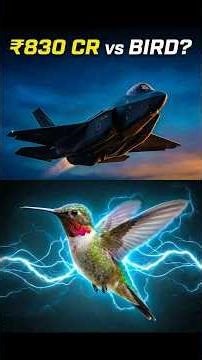 ₹830 Crore Fighter Jet vs Hummingbird 😳 | Nature Broke Physics #shorts