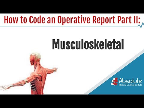 Coding an Operative Report Part II: Musculoskeletal System