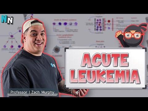 Acute Leukemia | Clinical Medicine