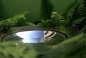 Planting in shade; a simple scheme for a shady garden