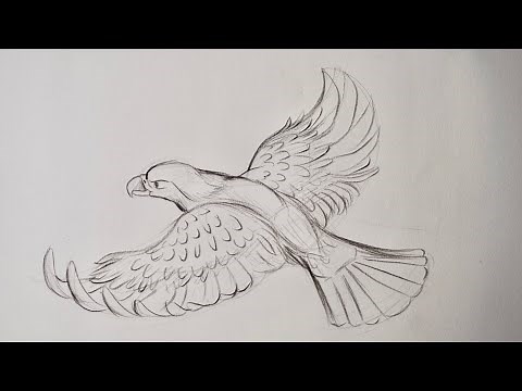 How to draw a flying eagle step by step