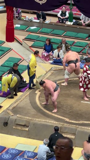 安大翔！2026年大相撲5月場所