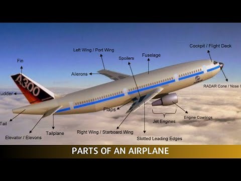 Airplane Anatomy: Parts and Functions Explained
