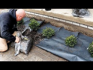 Landscape Flower Bed Makeover Start To Finish