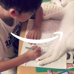 For those that excel in meow-matics, shop Amazon for everything back to school from A to Z. | Amazon.com
