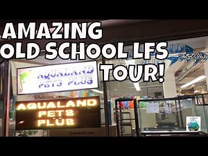 Amazing Old School Local Fish Store Tour Aqualand Pets Plus