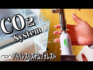 【アクアリウム】二酸化炭素システムを設置していく（水草成長のためにCO2を何故添加するのか？）