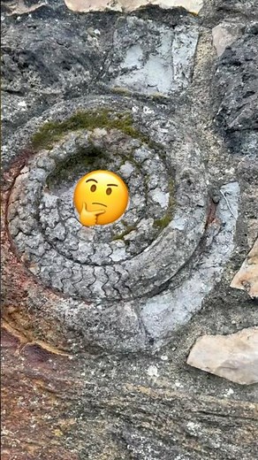 Large Fossil Surprises At Lyme Regis⁉️#beachfinds#rockhounding#jurassiccoast