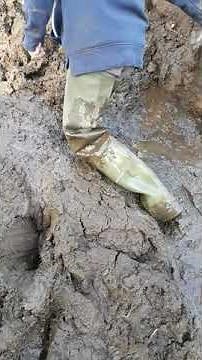 Waders getting stuck in deep mud