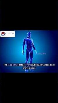 "🦴 Skeletal System Explained | Functions & Structure in 60 Seconds!"