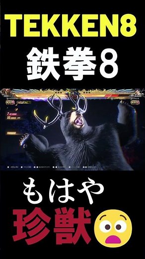 [Tekken 8] World Ranking #1 Kuma: The Strength of a Rare Beast 🔥 ver2.06 Tekken8 HDR