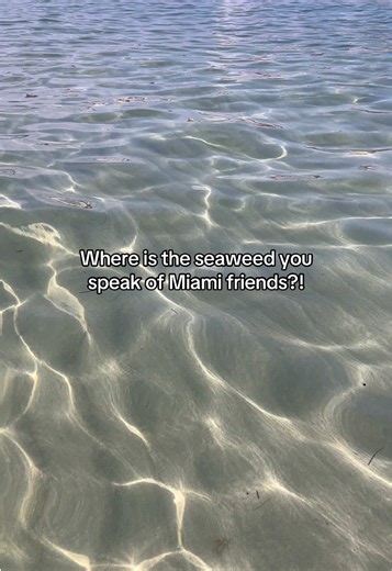 Miami Beach clear waters this week — where's the seaweed?