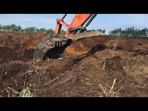 ROOT RAKE | PEIGNE FORESTIER