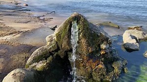 44 reactions | Artesian Spring along the Illinois River... You can see where Spring Bay gets its name from... | Herman Brothers Fisheries, Realty, and Excavation | Facebook