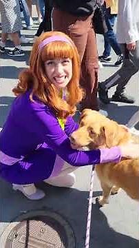 Daphne from Scooby-Doo meets Butterball the dog Universal Studios Hollywood