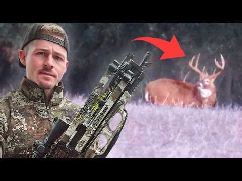 HUNTING PEEPING TOM DURING THE PRE-RUT!