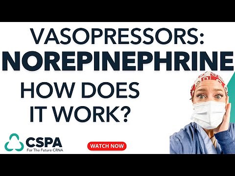 Norepinephrine (Levophed): What Is It And How Does It Work? Free Study Guide Included!