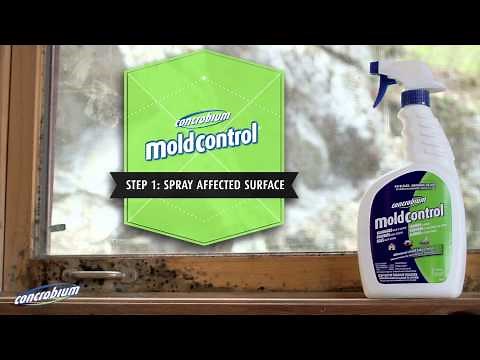 Concrobium Mold Control: Indoor Mold Fighting Guide