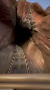 3.1M views · 10K reactions | Tonight’s ride on Expedition Everest! | See WDW | Facebook