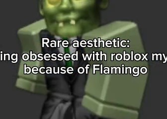 Edit: I’m finna pass out, the heck is with all these comments and views??? #robloxmyths #roblox #flamingo #rareaesthetic #fypシ
