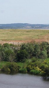 Turning one of Europe's biggest landfill sites into a wildlife haven. | BBC London