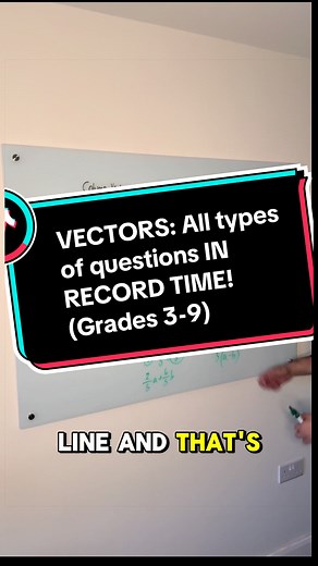 Vectors Explained: All Types in Record Time!