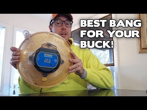 Best Incubator for Hatching Chicken Eggs | Reviewing Our Three Incubators