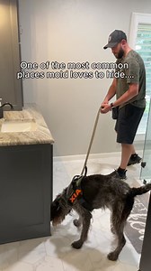 25K views · 73 reactions | Mold in your toilet tank is more common...