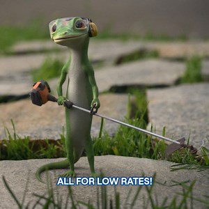 Let GEICO help trim your commercial auto insurance rates. | GEICO
