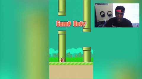 Flappy Bird - new high score!