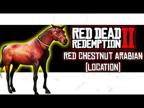 Red Chestnut Arabian Wild Horse Location - Red Dead Redemption 2
