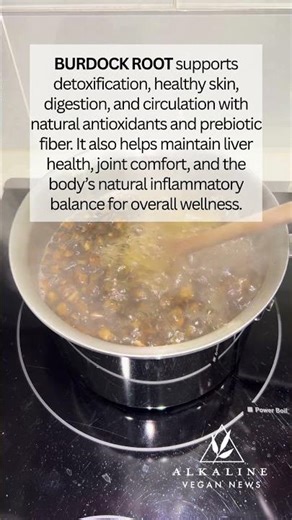 Benefits of Burdock Root