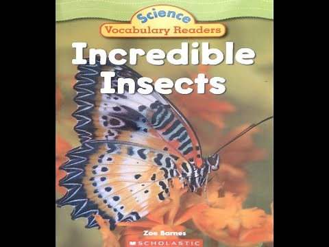 Incredible Insects Read Aloud