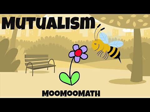 10 Mutualism Examples