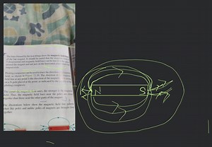The lines formed by the iron filings show the magnetic field li... | Filo