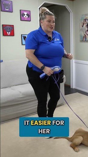 Teach Your Puppy Fetch! Simple Guide to Fetching Fun! #shorts