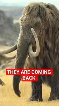 5 Extinct Animals Scientists want to bring back in 2026!