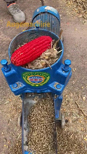 Efficient Pellet Machine for Feed Granulation