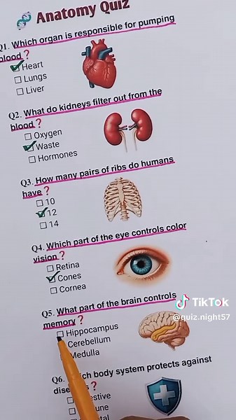 Test Your Knowledge with This Human Anatomy Quiz