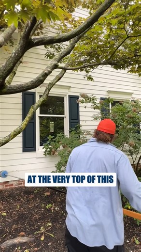 3.7K views | Real Pest Control = Real Detail See how Jeff takes time to treat every area, around windows, shutters, and cobwebs. That’s what separates pros from the rest: ✅ Fewer callbacks ✅ Cleaner results ✅ Happier homeowners Follow us for more tips! #PestControl #PestPrevention #PestBarrier #OutdoorPestControl #BugControl #PestControlPro #PestFreeHome #PestControlTips #PestDefense #ProfessionalService | Blue Duck Pest Control | Facebook