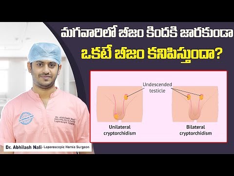 What is Undescended Testicle and How to Treat That? || Cryptorchidism Causes || Dr Abhilash Nali